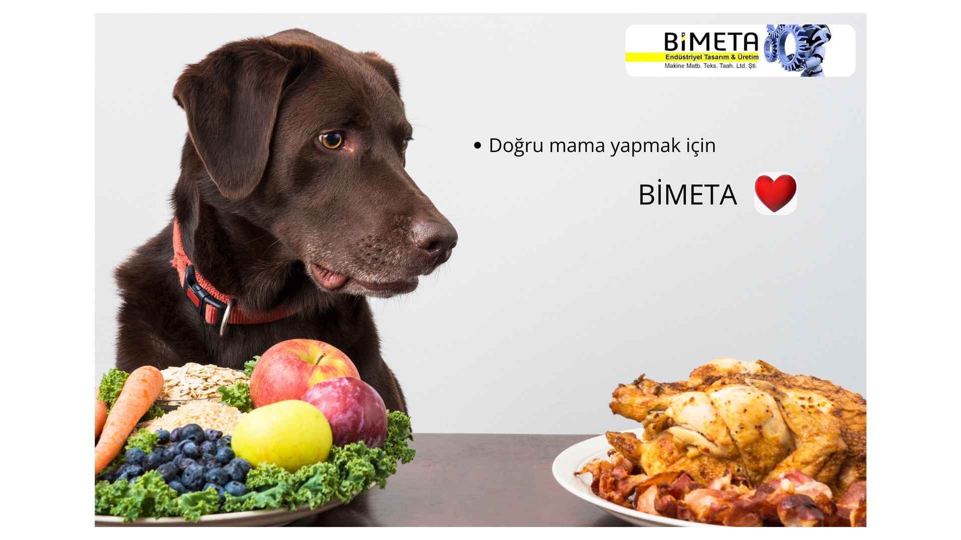 KALİTELİ BİR MAMA YAPMAK